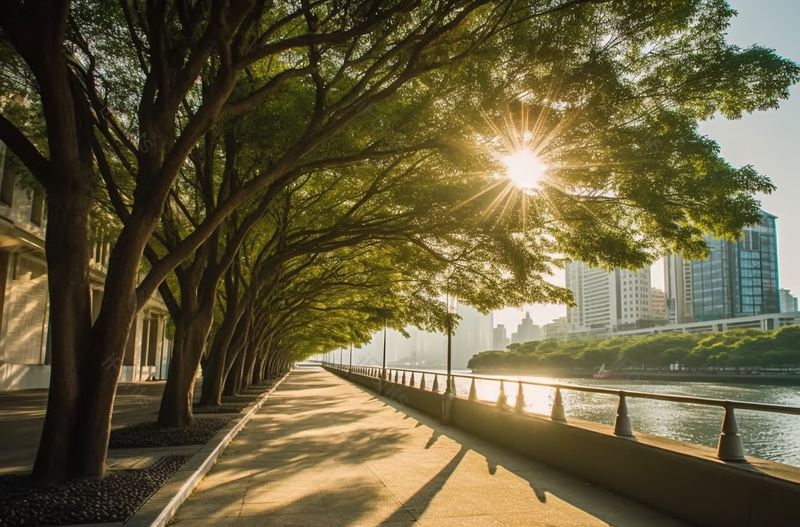 绿色城市河边河岸散步太阳大树休闲娱乐场所拍摄,高清,摄影图,摄影图片,图片大全,摄影图免费下载